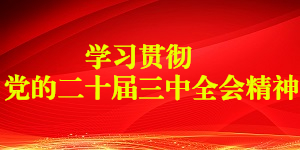 聚氨酯海绵增硬剂对聚氨酯泡沫物理机械性能和耐久性的影响分析