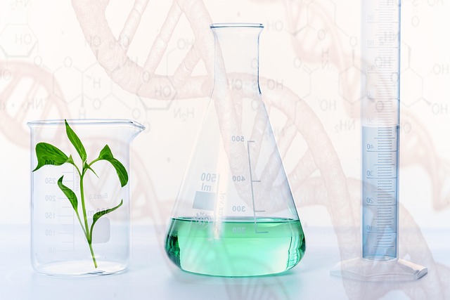 高效聚氨酯凝胶催化剂：三乙烯二胺（TEDA）的作用机理与应用